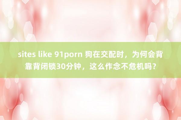 sites like 91porn 狗在交配时，为何会背靠背闭锁30分钟，这么作念不危机吗？