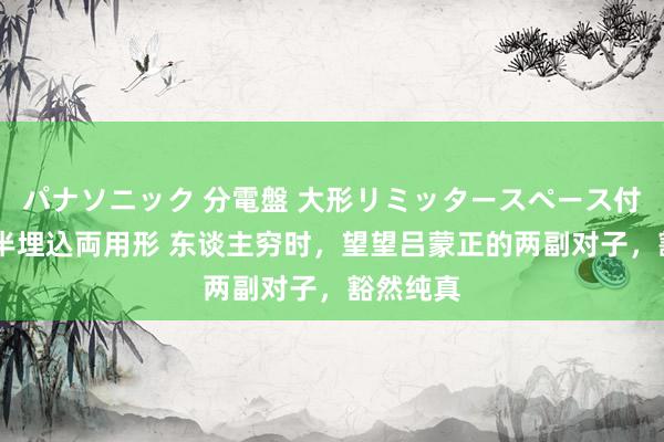 パナソニック 分電盤 大形リミッタースペース付 露出・半埋込両用形 东谈主穷时，望望吕蒙正的两副对子，豁然纯真