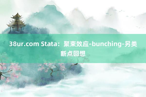 38ur.com Stata：聚束效应-bunching-另类断点回想