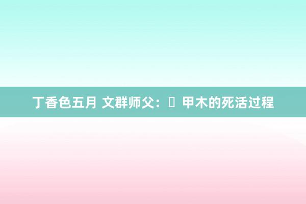 丁香色五月 文群师父：​甲木的死活过程