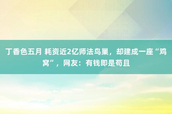 丁香色五月 耗资近2亿师法鸟巢，却建成一座“鸡窝”，网友：有钱即是苟且