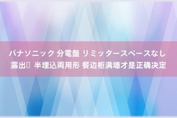 パナソニック 分電盤 リミッタースペースなし 露出・半埋込両用形 餐边柜满墙才是正确决定